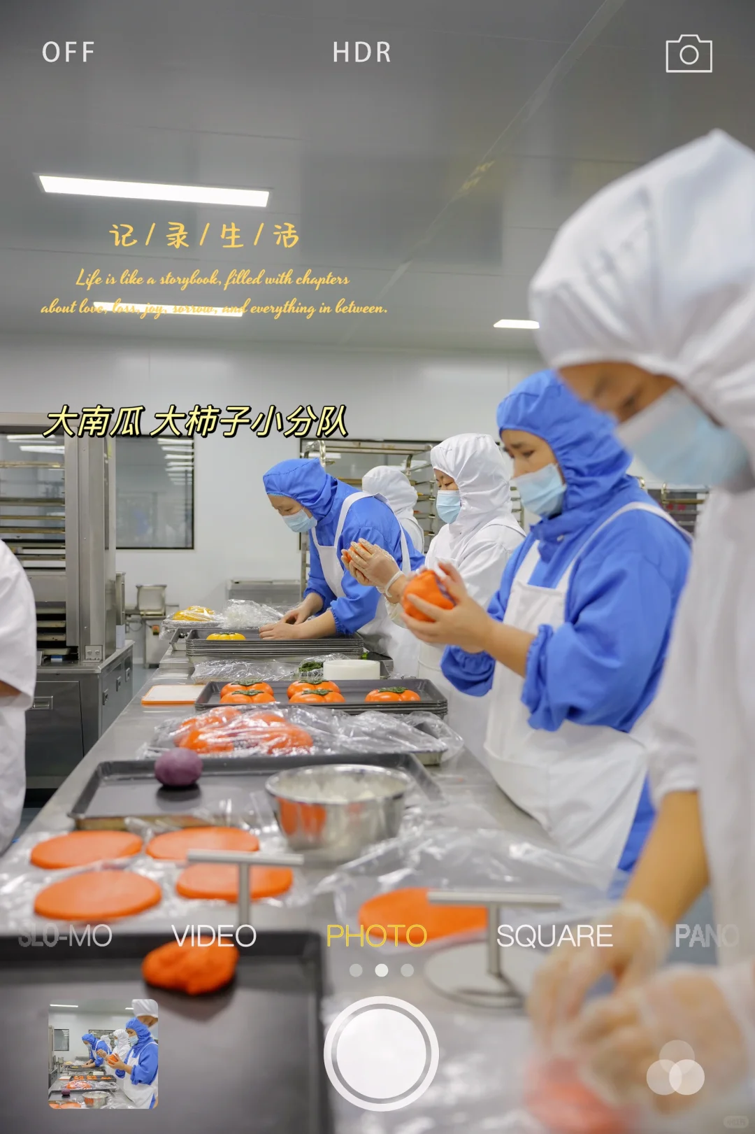 8000平的月饼工厂日常记录?