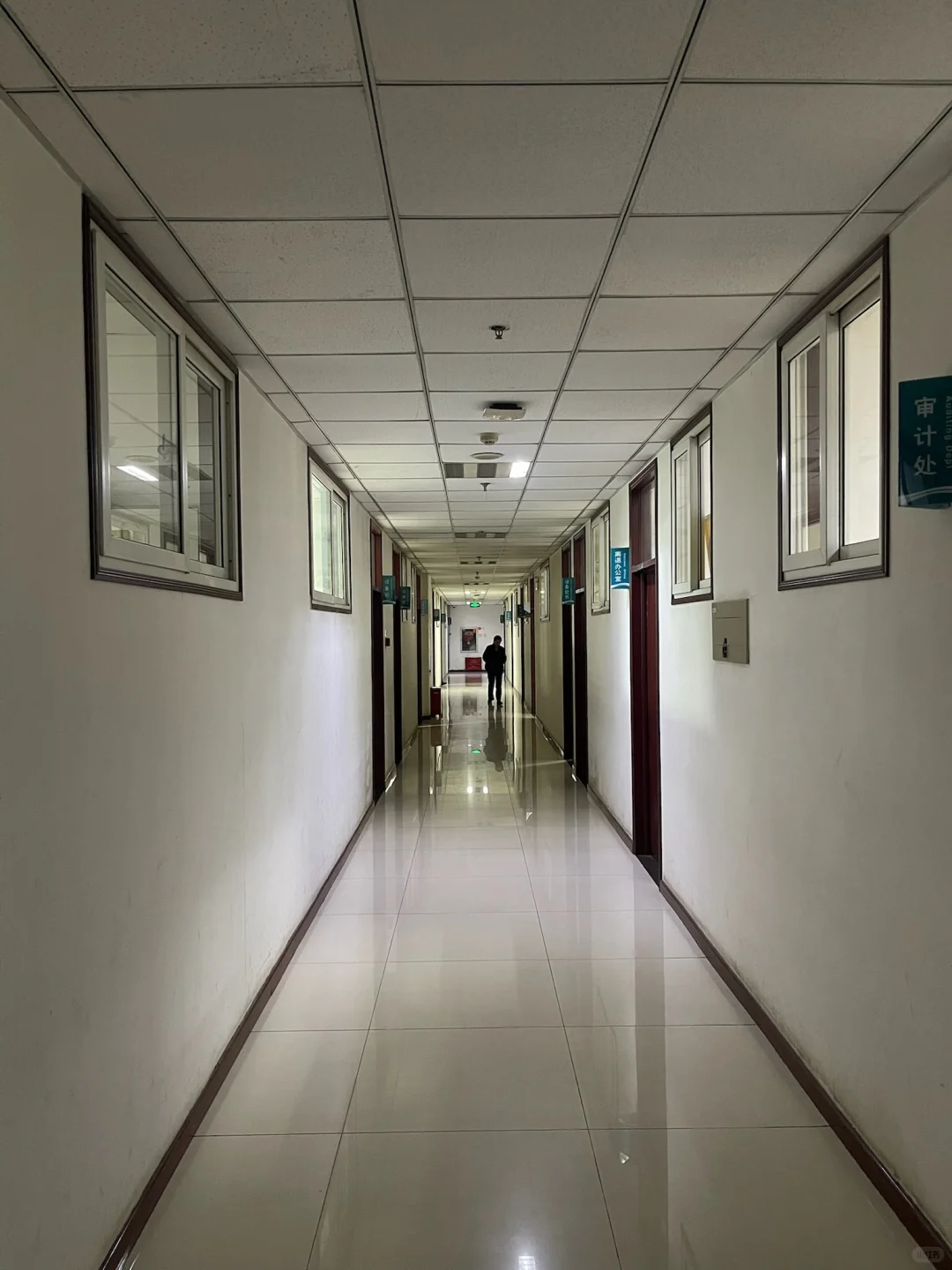 石家庄跑腿 医院招标代办投标报名