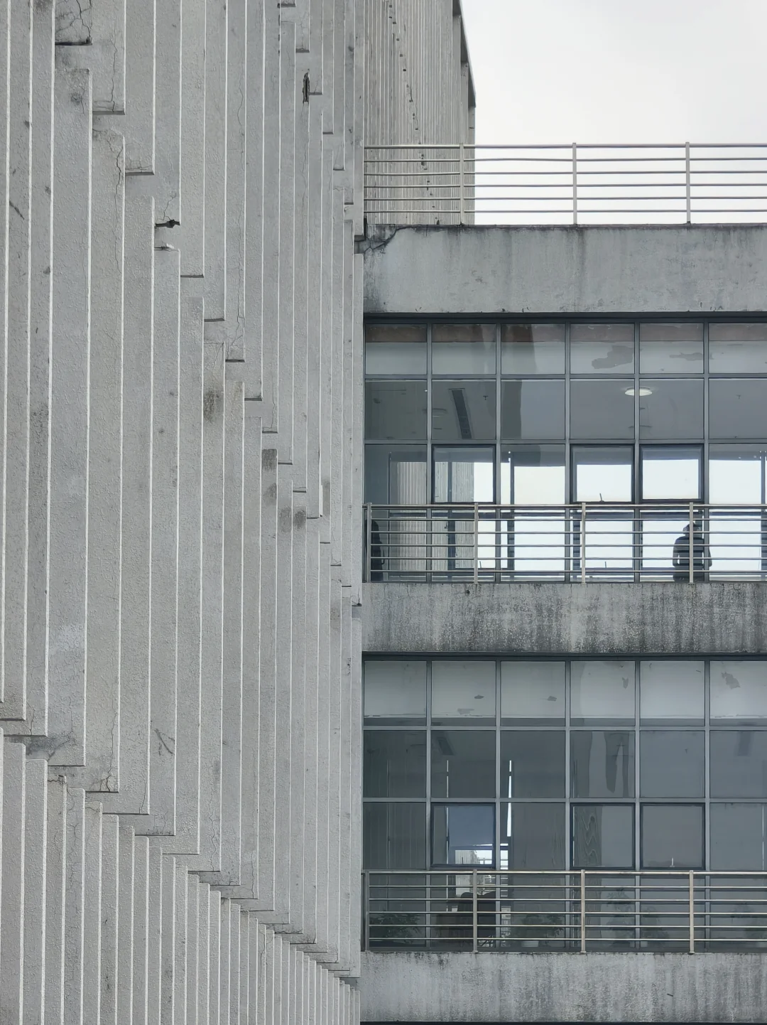 漫卷·象牙塔：华中农业大学 | 图书馆