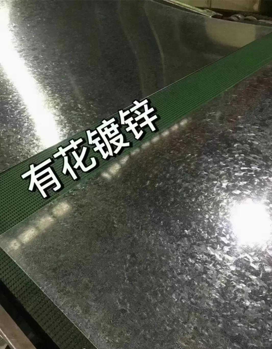 早上好[太阳]今日价格