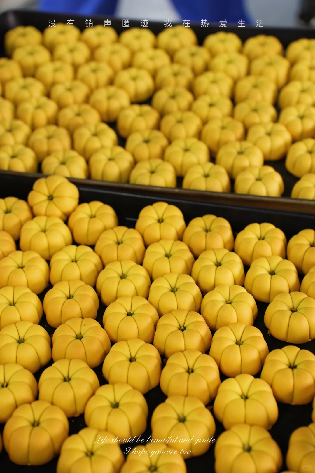 8000平的月饼工厂日常记录?