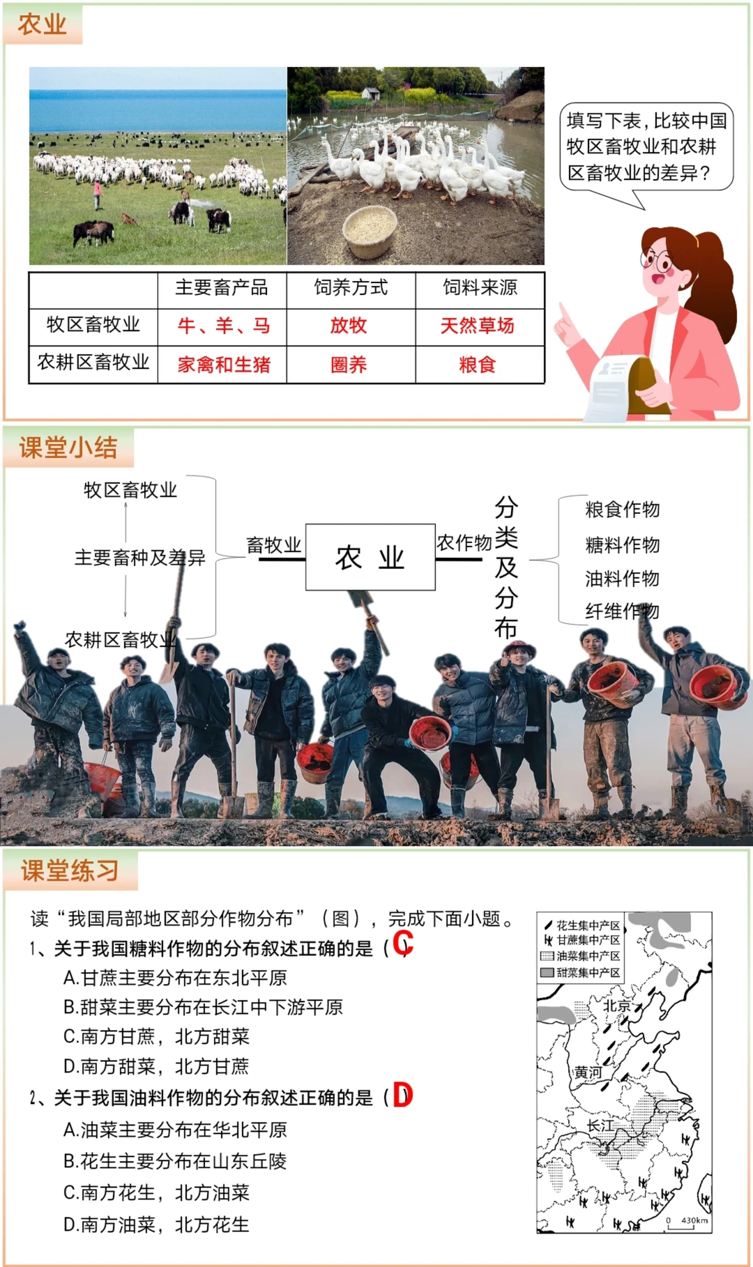 地理宝库｜这样讲中国的农业，学生超期待！