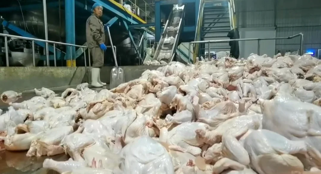 一个狗粮厂家的自我介绍