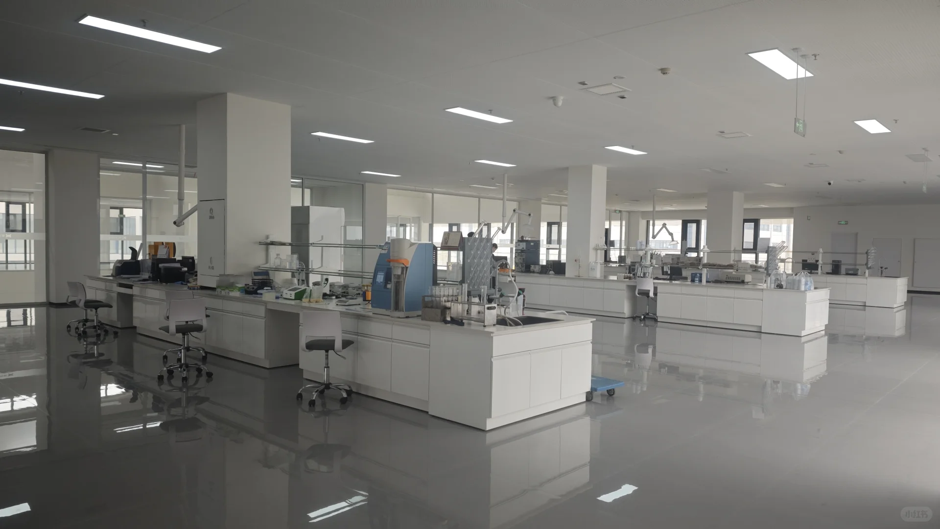 去同学服务的宠物食品厂参观，猜猜是哪里？