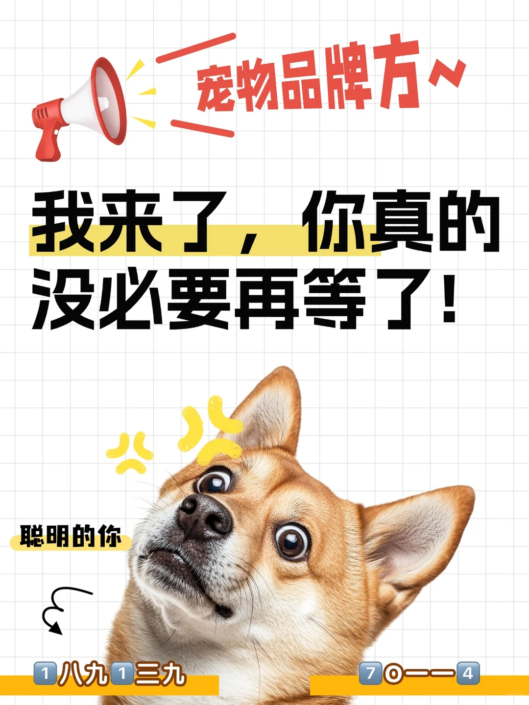 挖到宝了！宠物零食行业优质源头工厂 ！