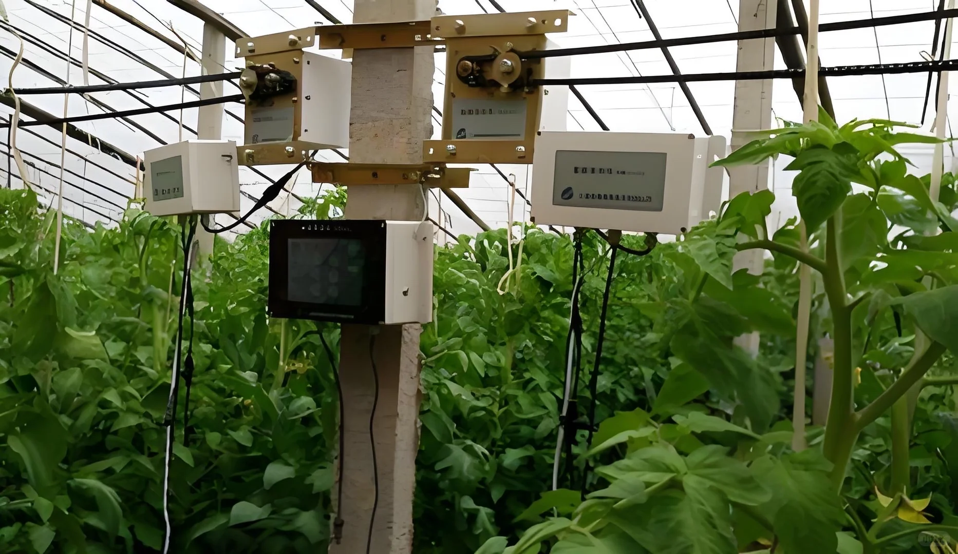 【智驭万穗｜边缘计算重塑现代农业新范式】