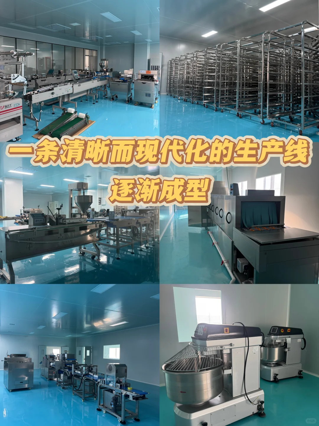 从0到1,开了一家面包工厂