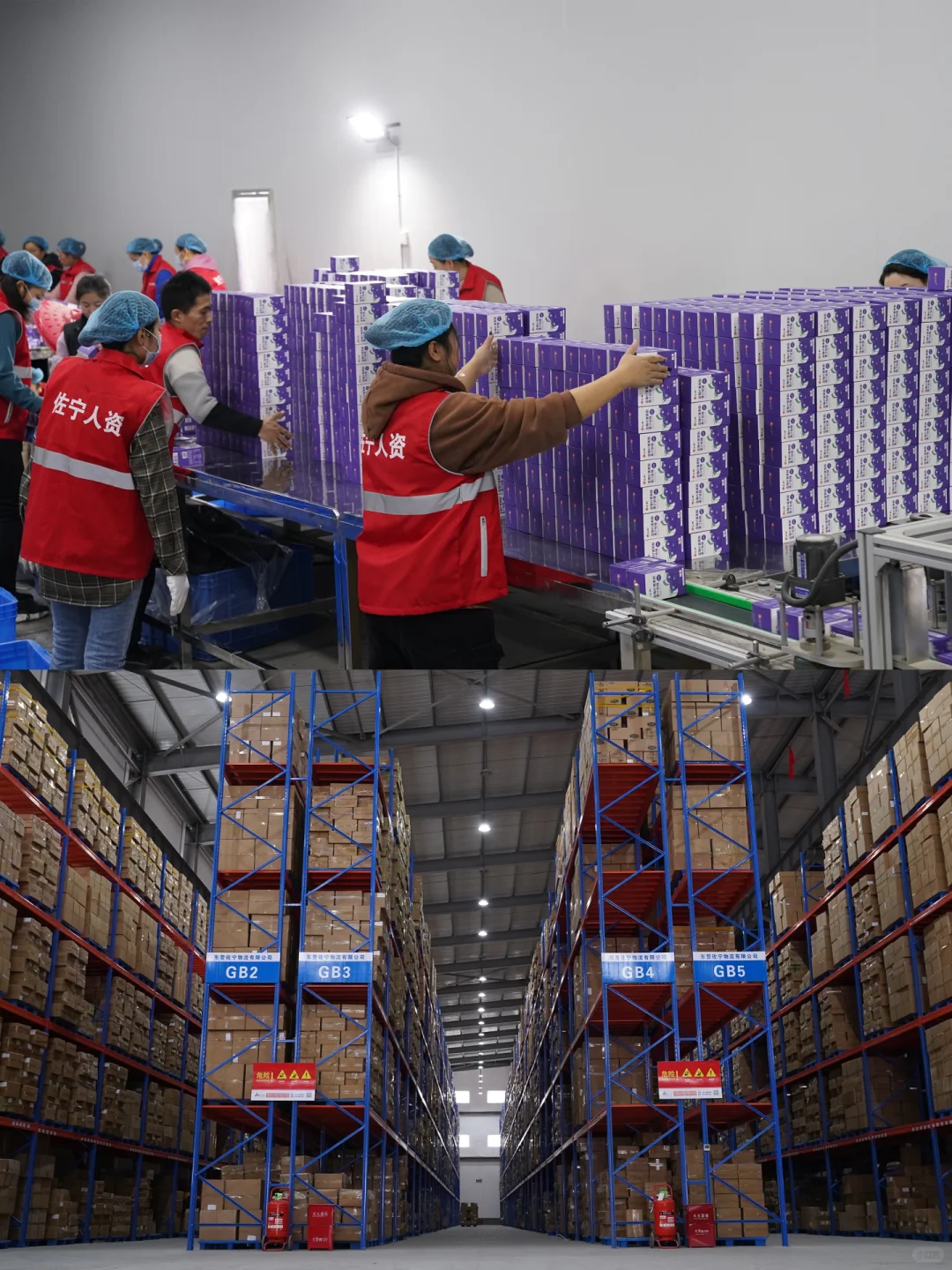 真实的零距离参观大健康食品工厂生产日常✔️