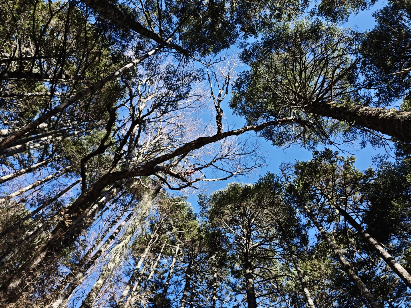 雨崩徒步Day2-冰湖切尼色：雨崩河溯源