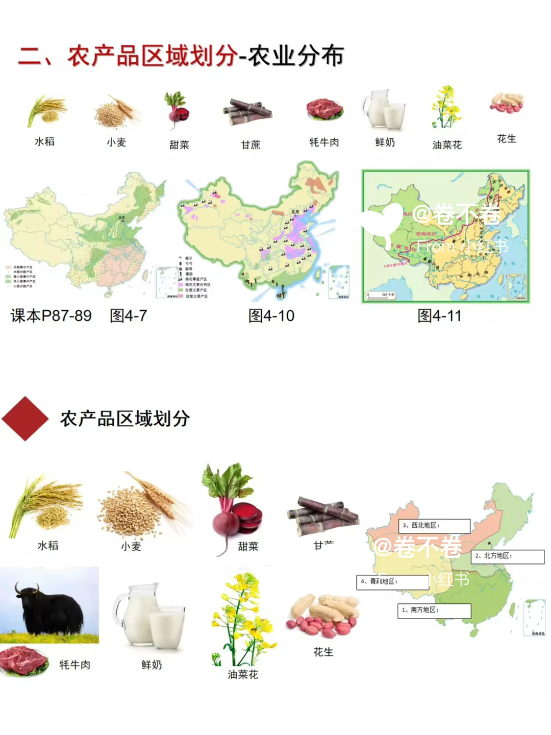 拒绝❌枯燥，3步盘活初中地理《中国农业》