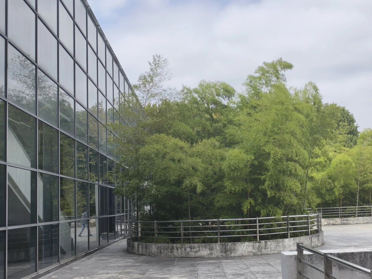 漫卷·象牙塔：华中农业大学 | 图书馆