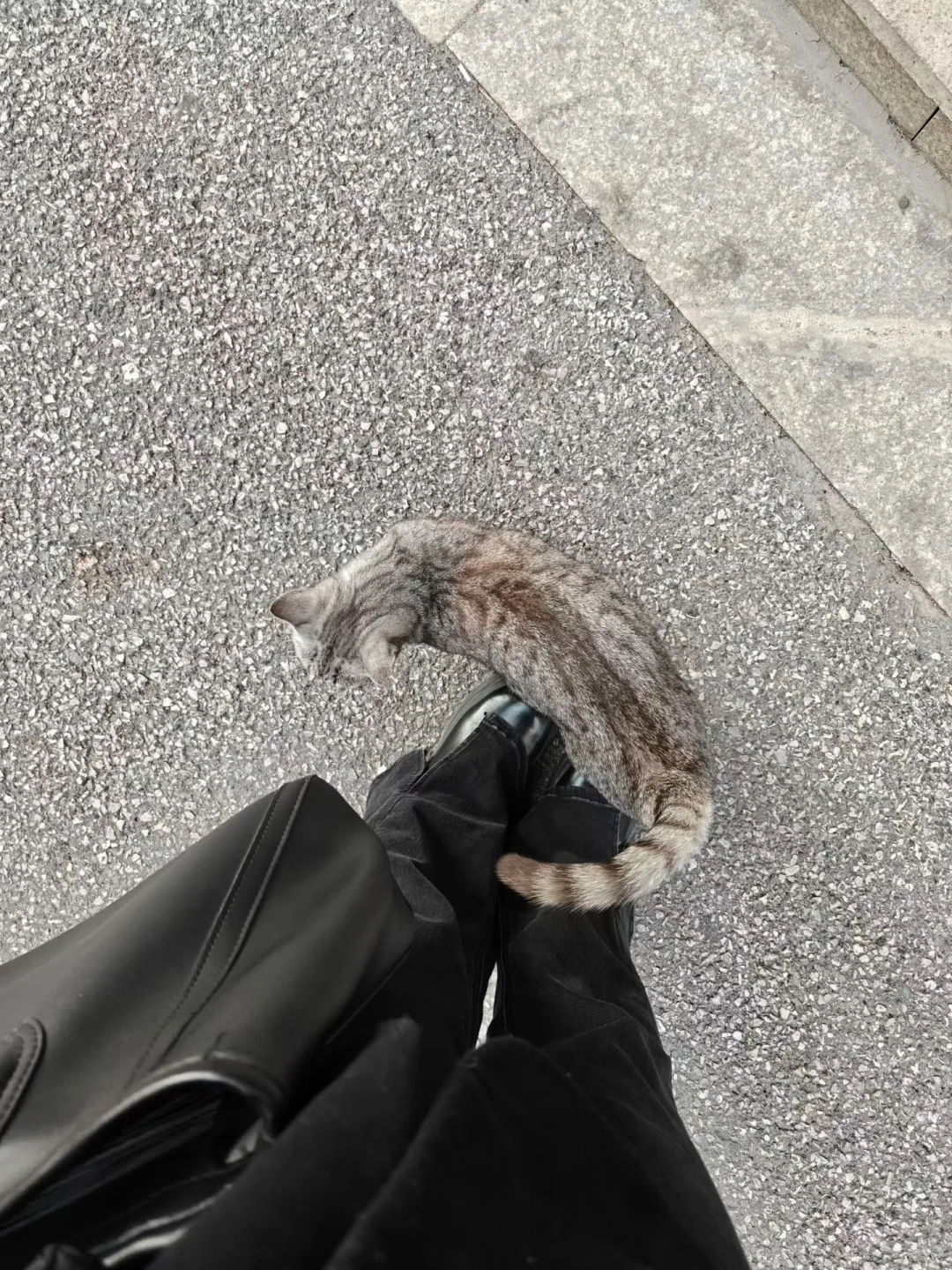 00后毕业女大钢材生卖钢第442天?