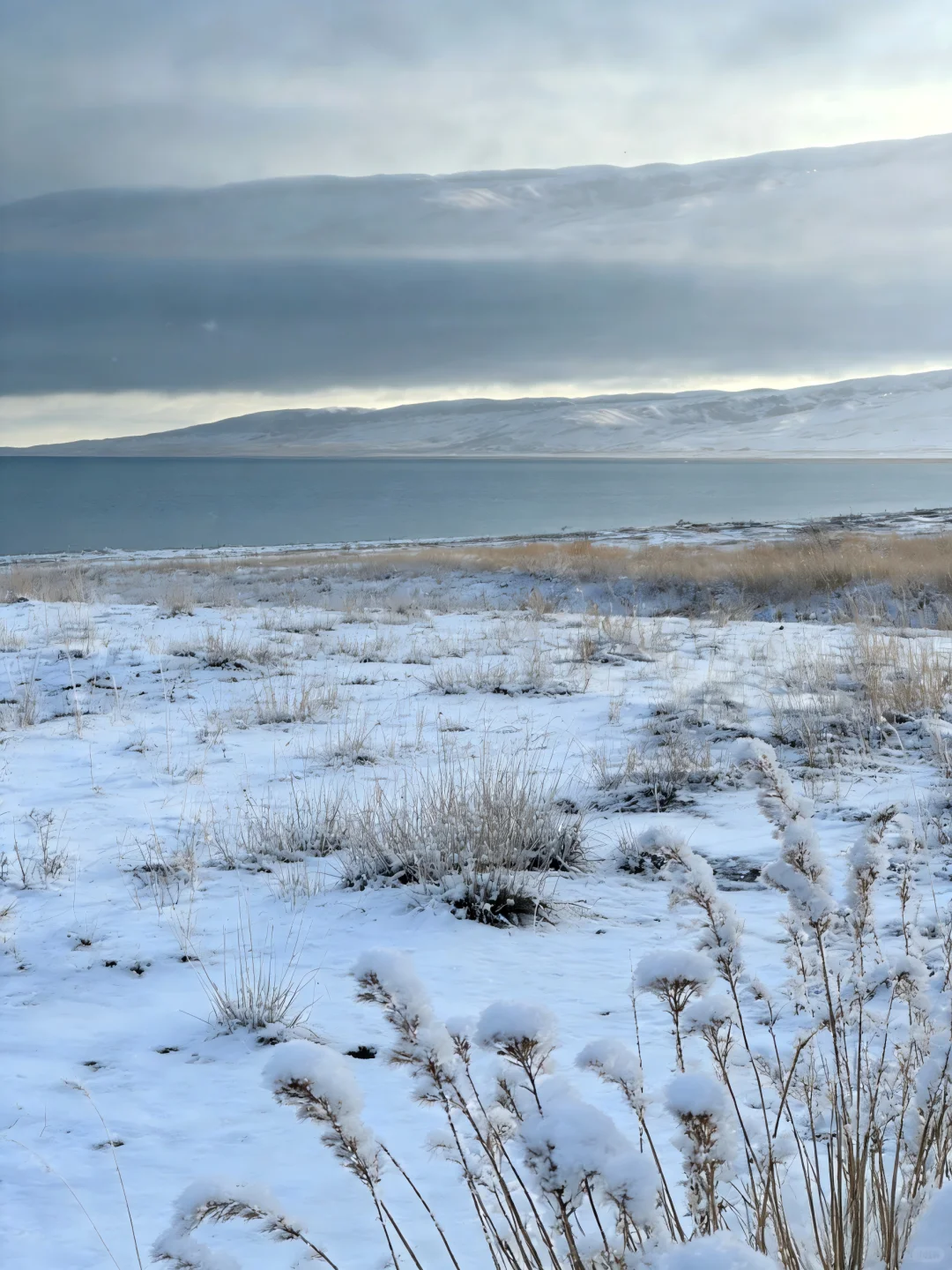 暴风雪来临，牧场的“暂停键”才是真正智慧