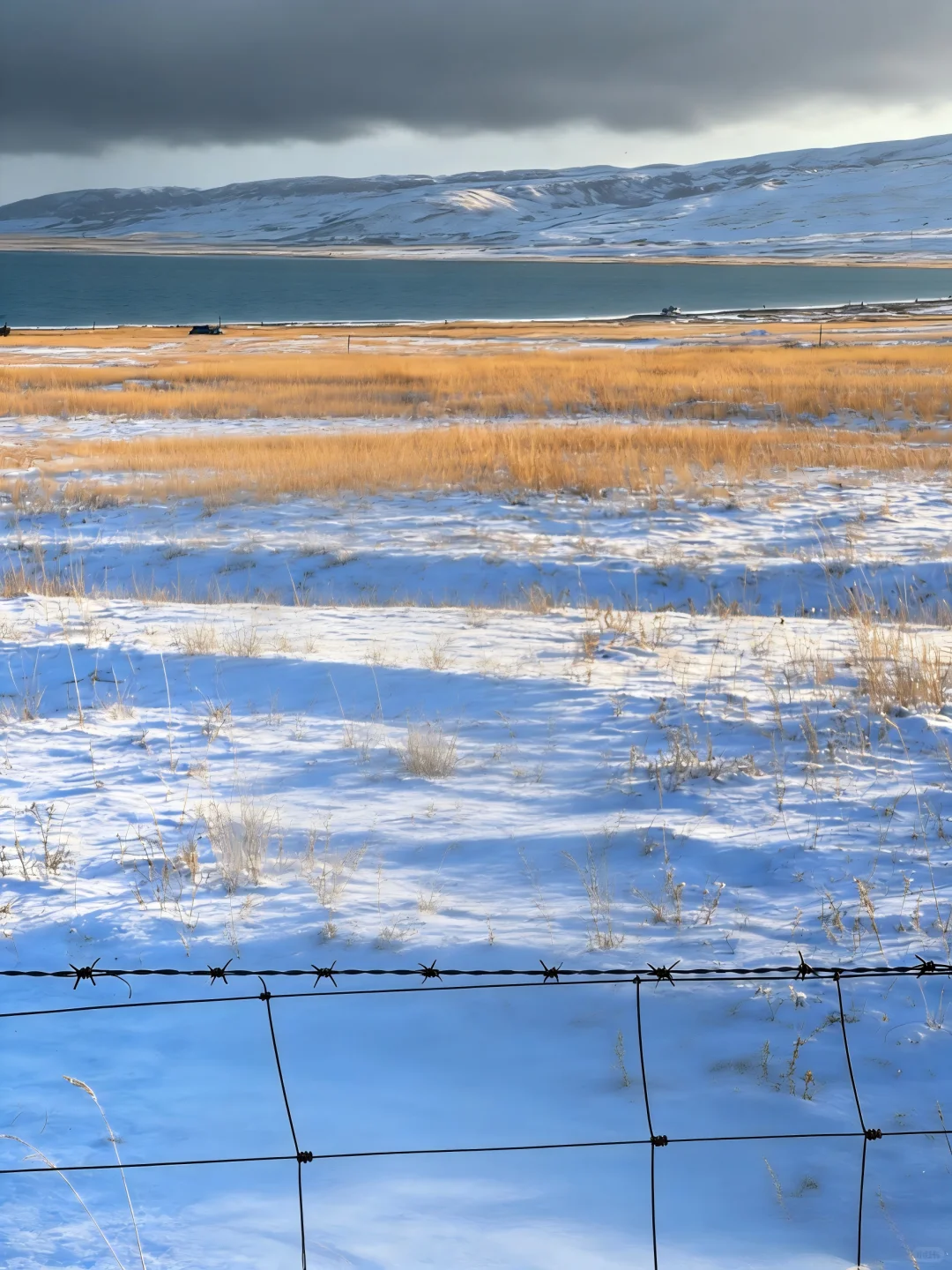 暴风雪来临，牧场的“暂停键”才是真正智慧