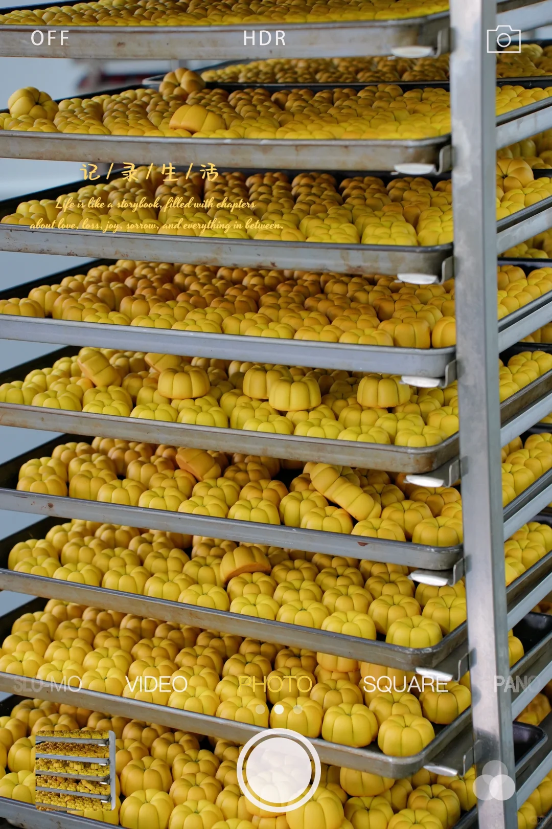 8000平的月饼工厂日常记录?