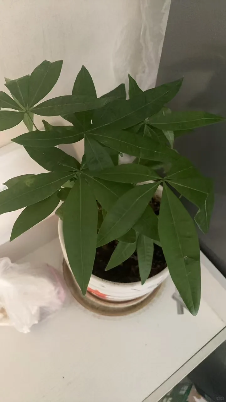 威海装修基础材料预约