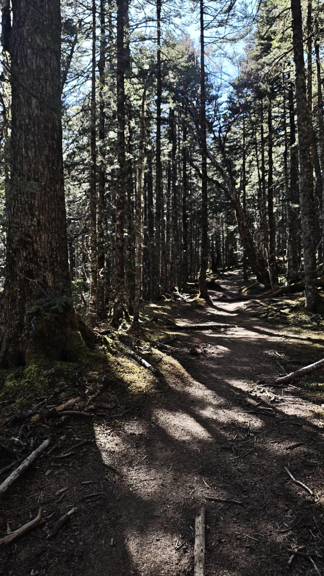 雨崩徒步Day2-冰湖切尼色：雨崩河溯源
