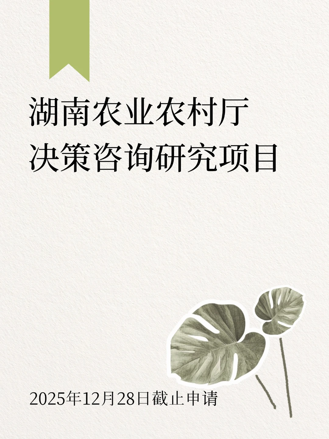 湖南省农业2025年度决策咨询研究项目
