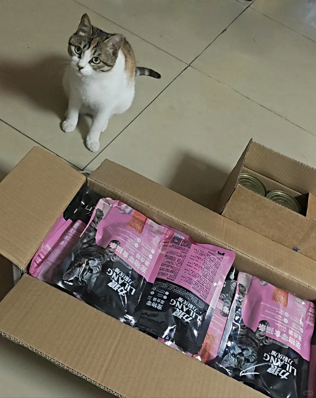 去同学服务的宠物食品厂参观，猜猜是哪里？