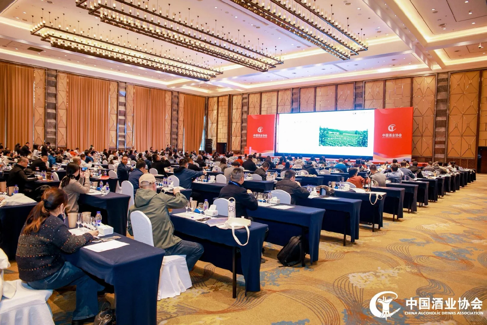 今年的酒协大会还是很有料的?