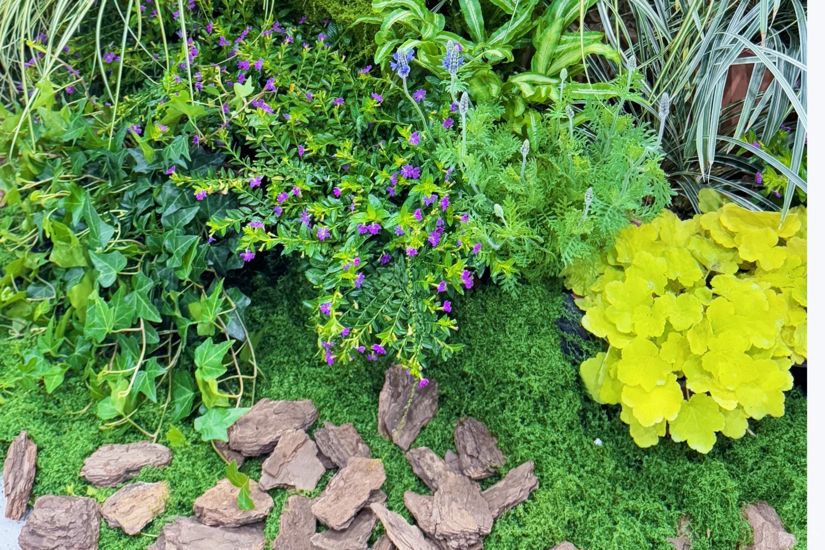 【把一座苔藓岛屿，搬进了疗愈展】