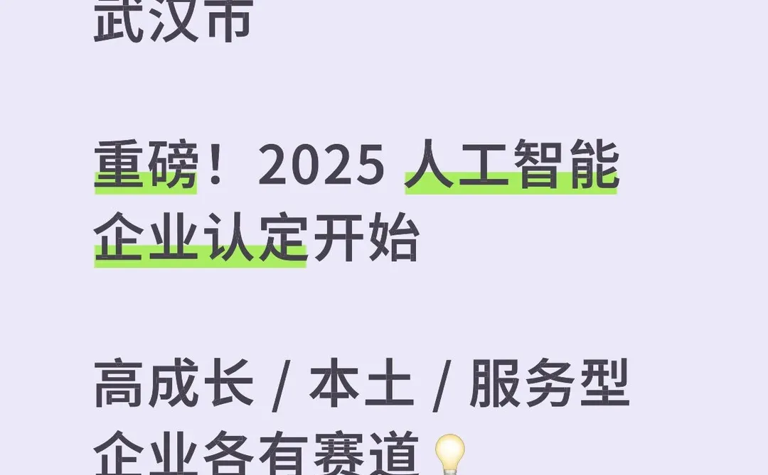 武汉市重磅！2025 人工智能企业认定开始