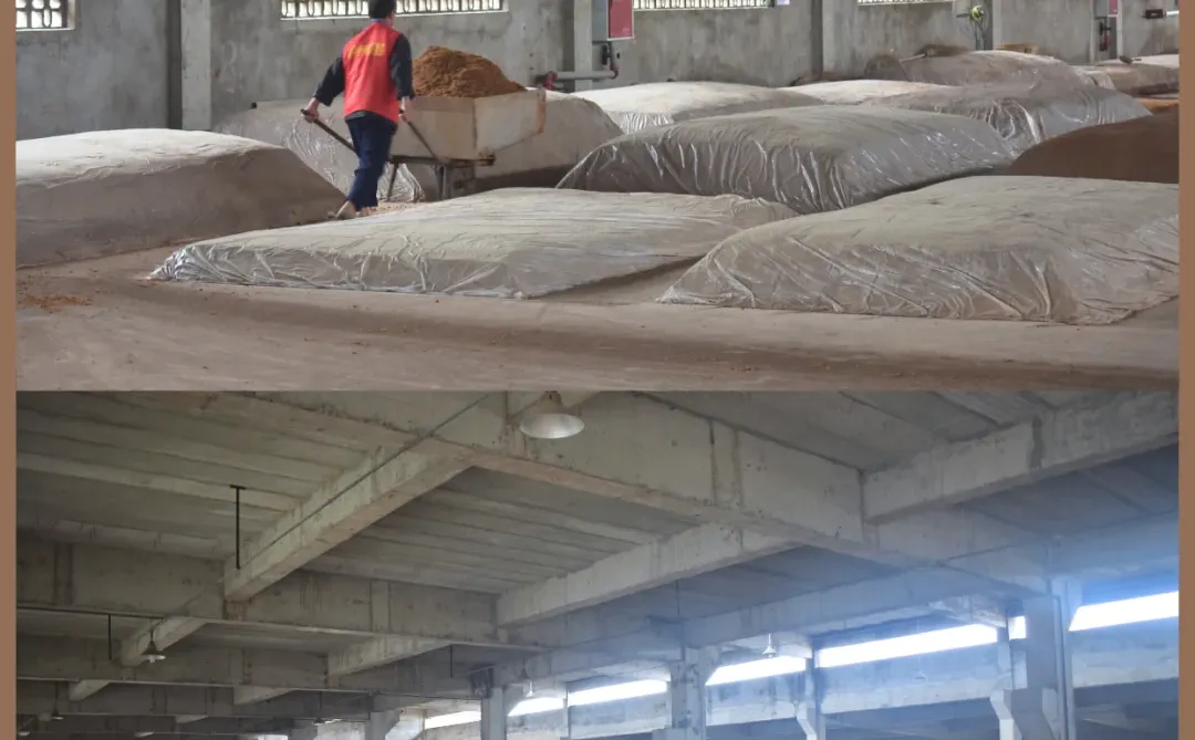 酒行业风口来了!泸州原窖合作商开业即出圈