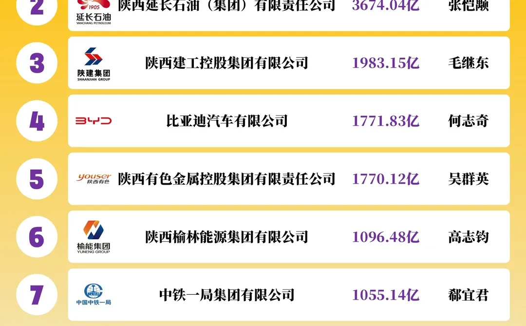 2025陕西企业10强