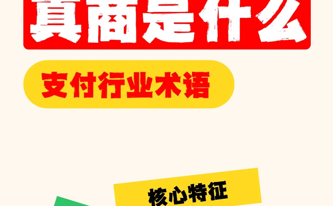 支付行业的真商是什么？