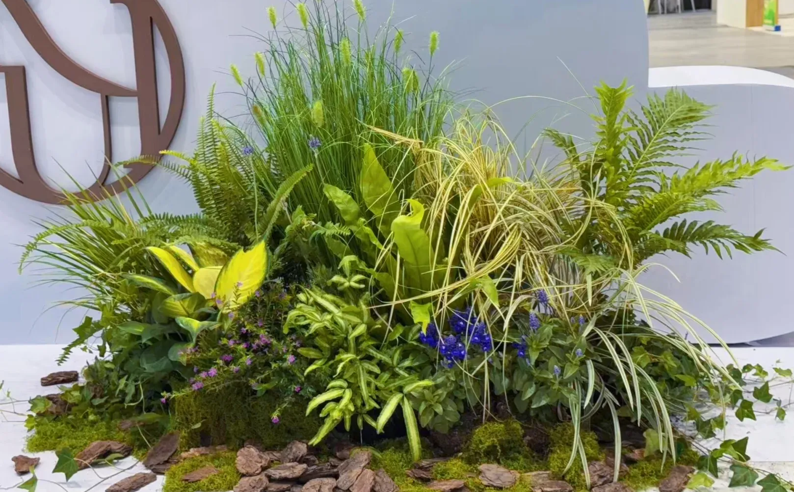 【把一座苔藓岛屿，搬进了疗愈展】