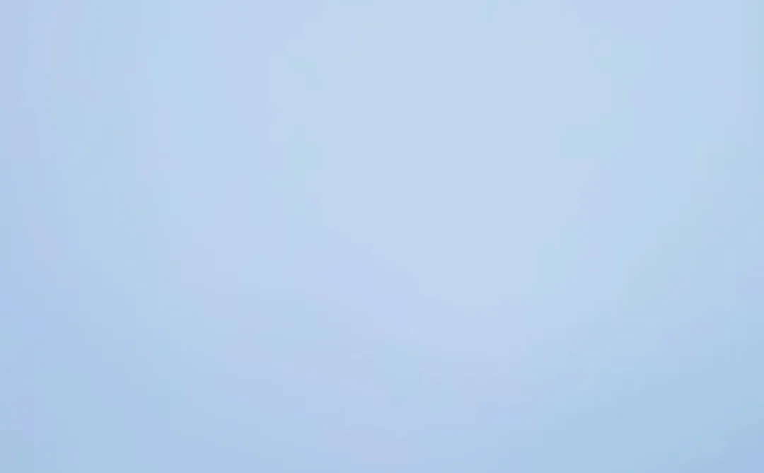 【国家鼓励的重点软件企业认定】