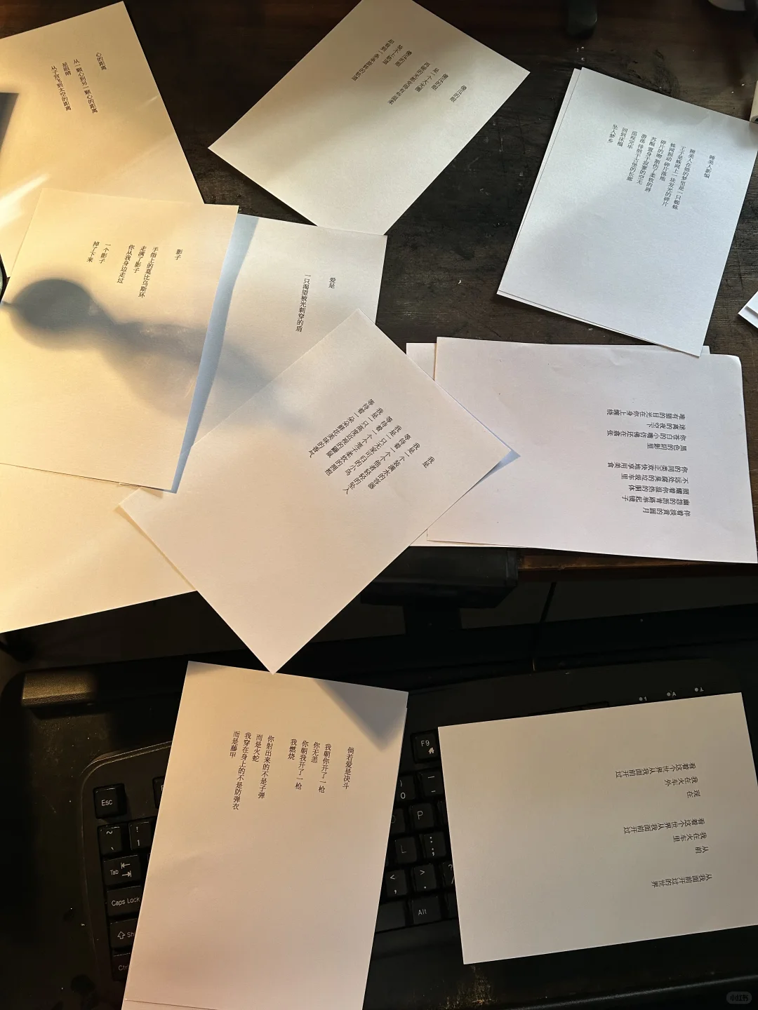 海口展览｜两个人手搓出的展览今天开幕了