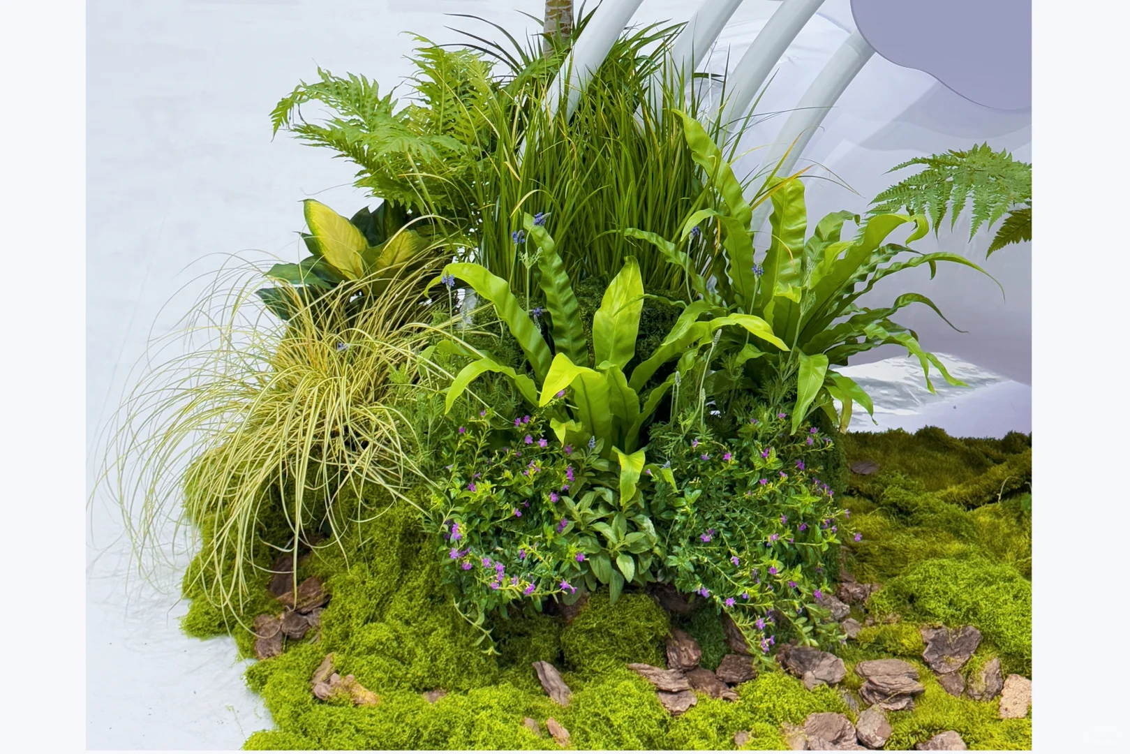 【把一座苔藓岛屿，搬进了疗愈展】