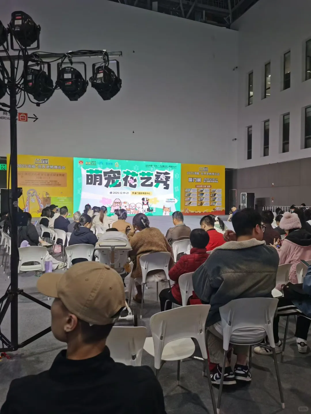 穿梭各个展会现场❗️