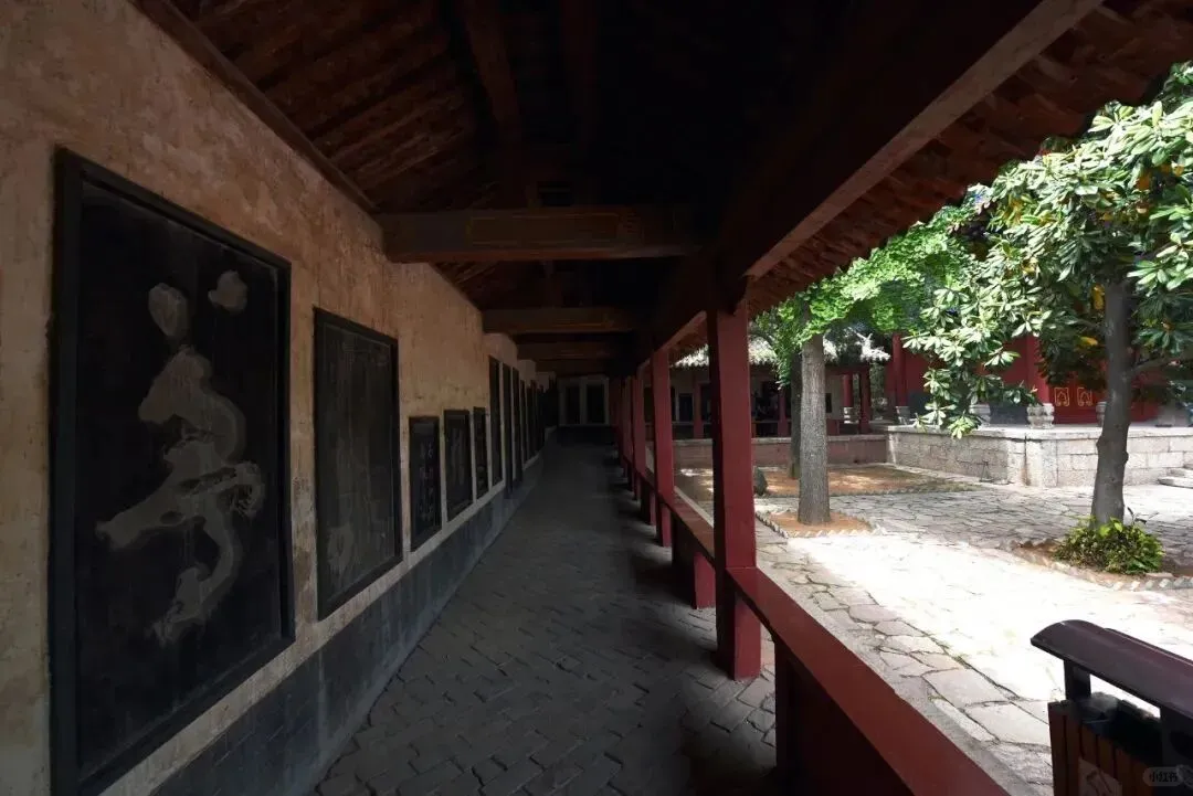 【必看】杜康酒代理加盟：他放弃高薪转行，