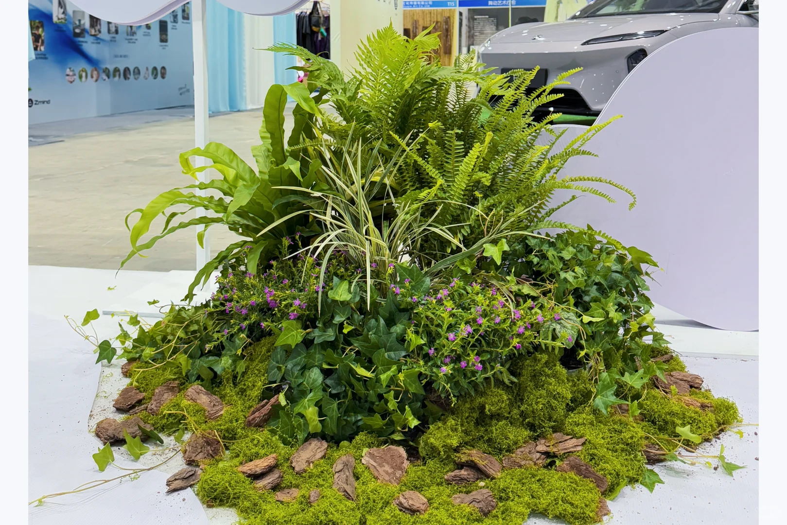 【把一座苔藓岛屿，搬进了疗愈展】