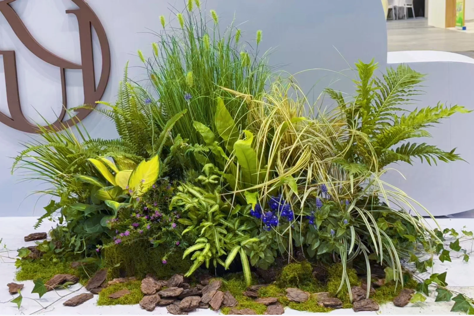 【把一座苔藓岛屿，搬进了疗愈展】