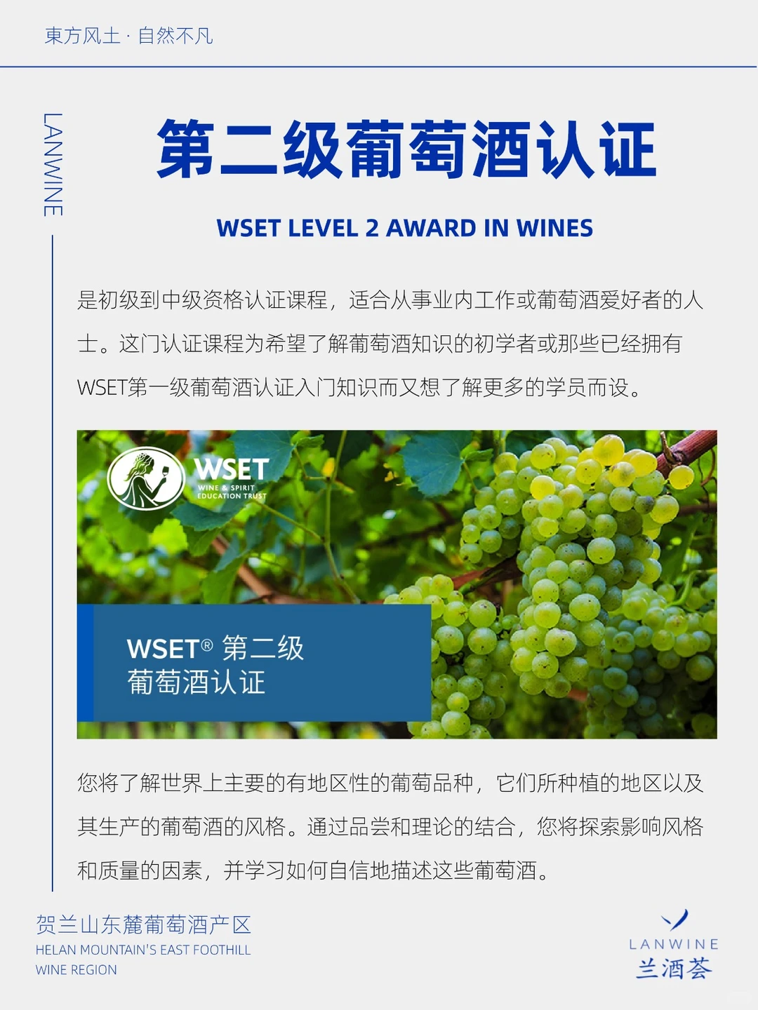兰酒荟| WSET招募 年前学完年后用?️