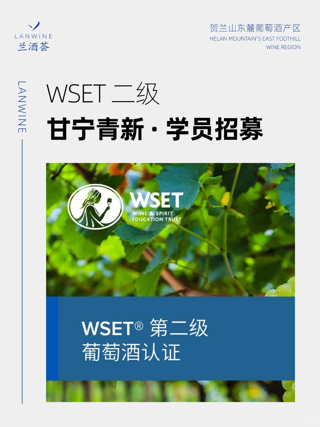 兰酒荟| WSET招募 年前学完年后用?️