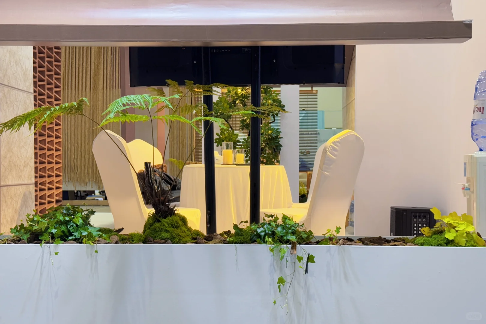 【把一座苔藓岛屿，搬进了疗愈展】