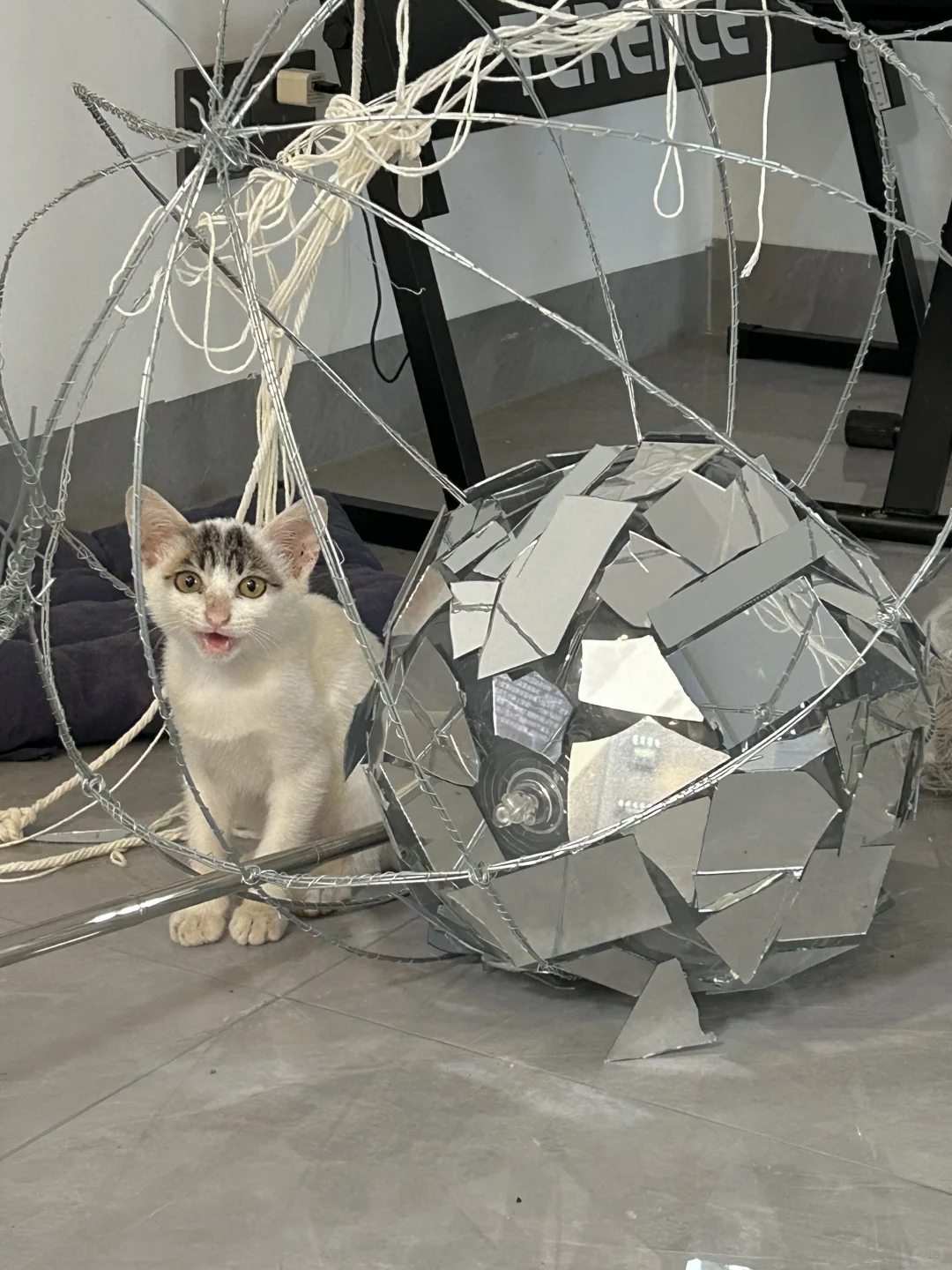 海口展览｜两个人手搓出的展览今天开幕了