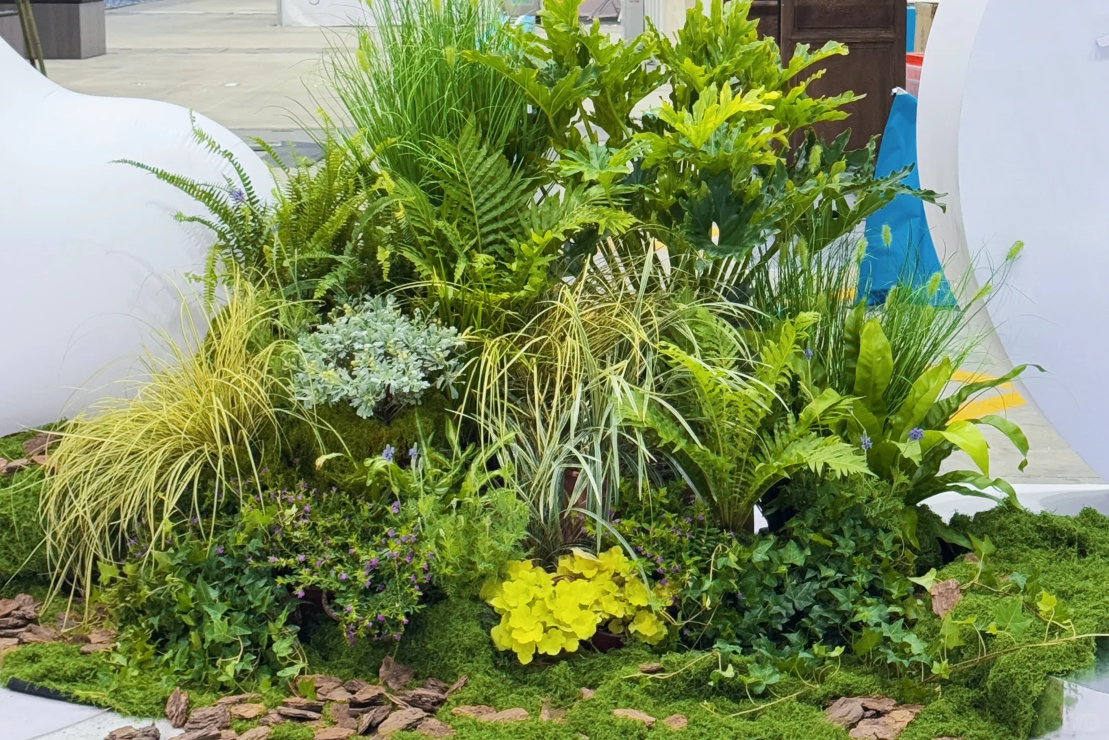 【把一座苔藓岛屿，搬进了疗愈展】