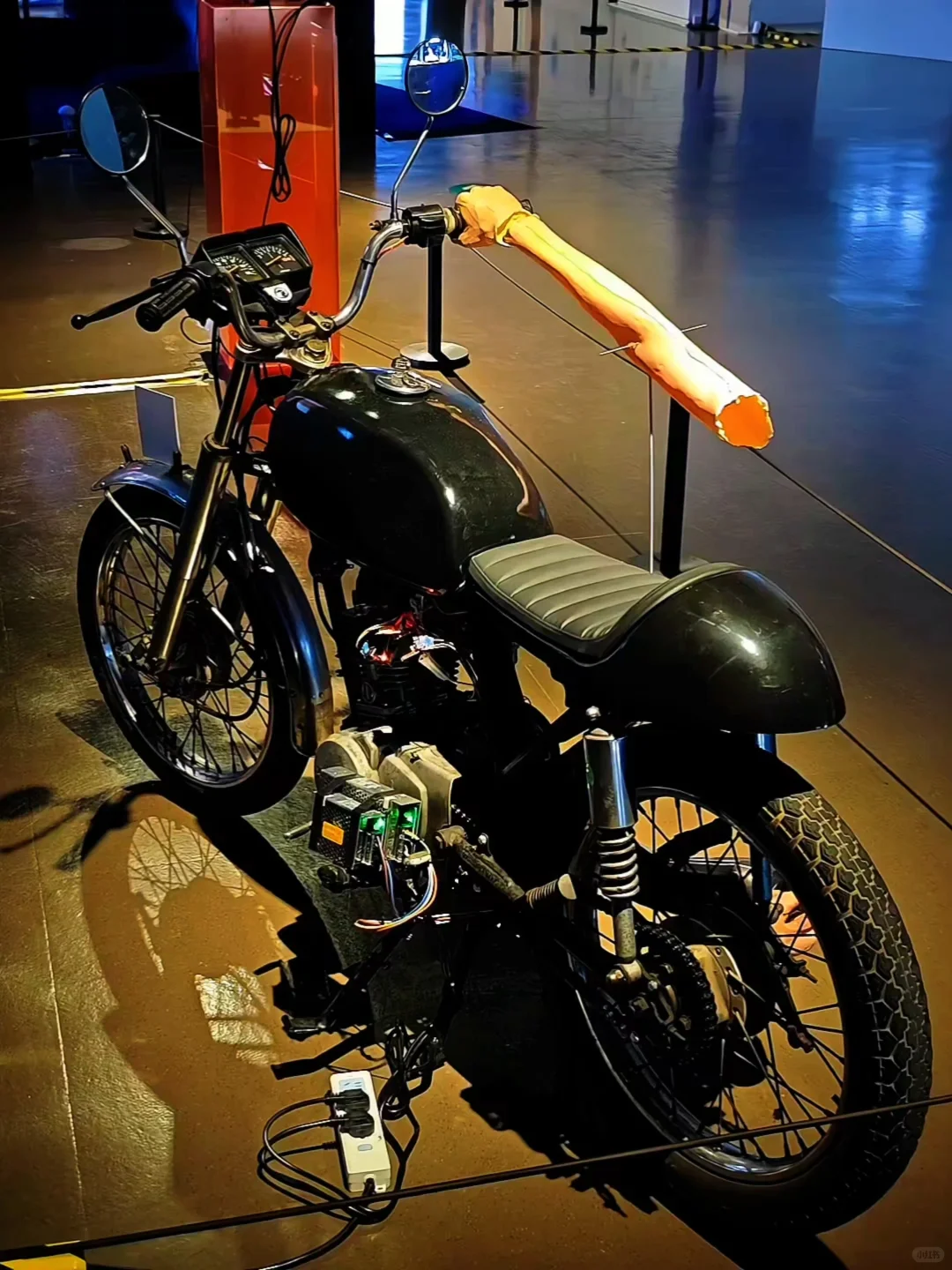 上海免费大展装置篇❗在数字光影中看见生命