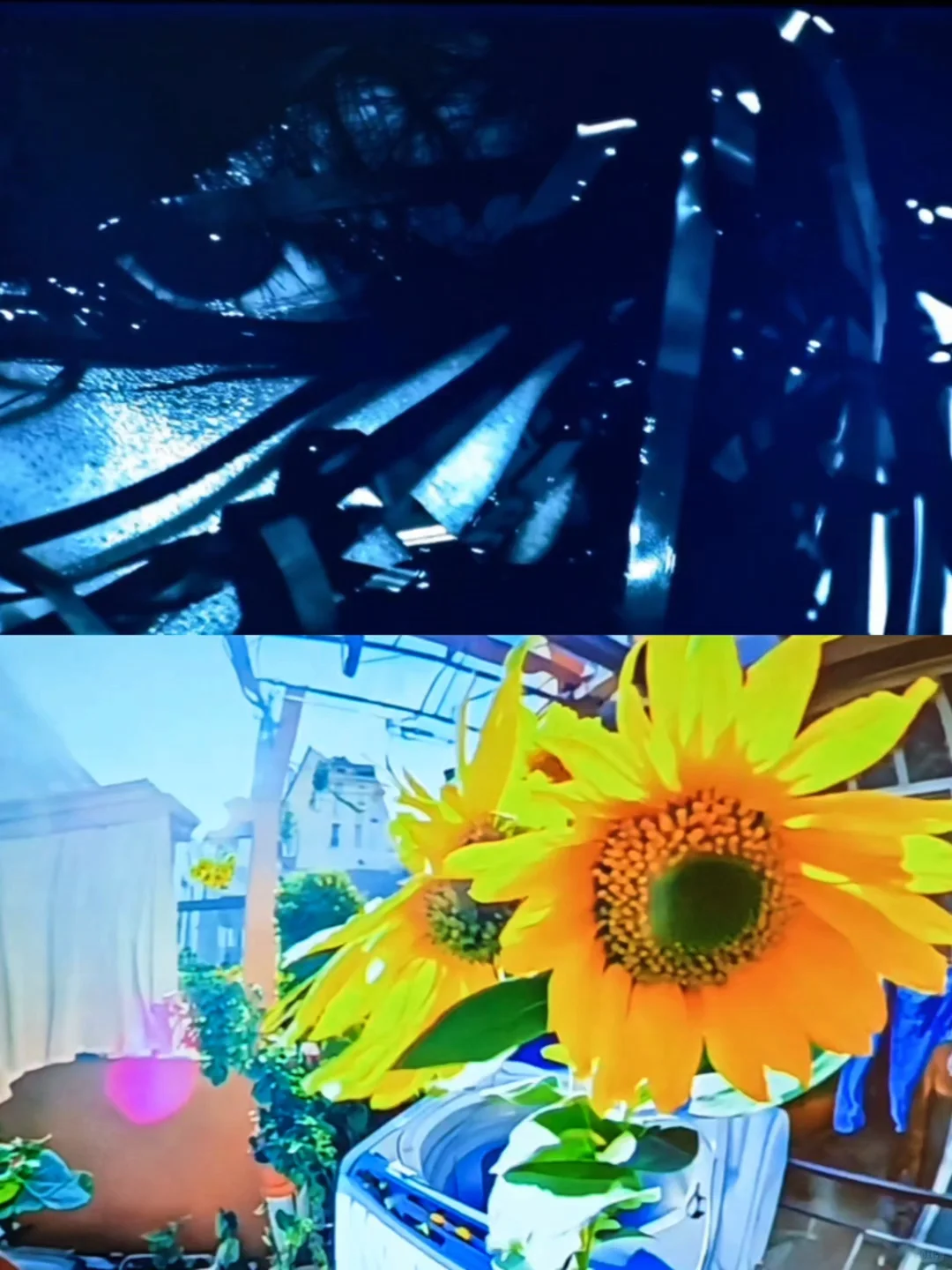 上海免费大展装置篇❗在数字光影中看见生命