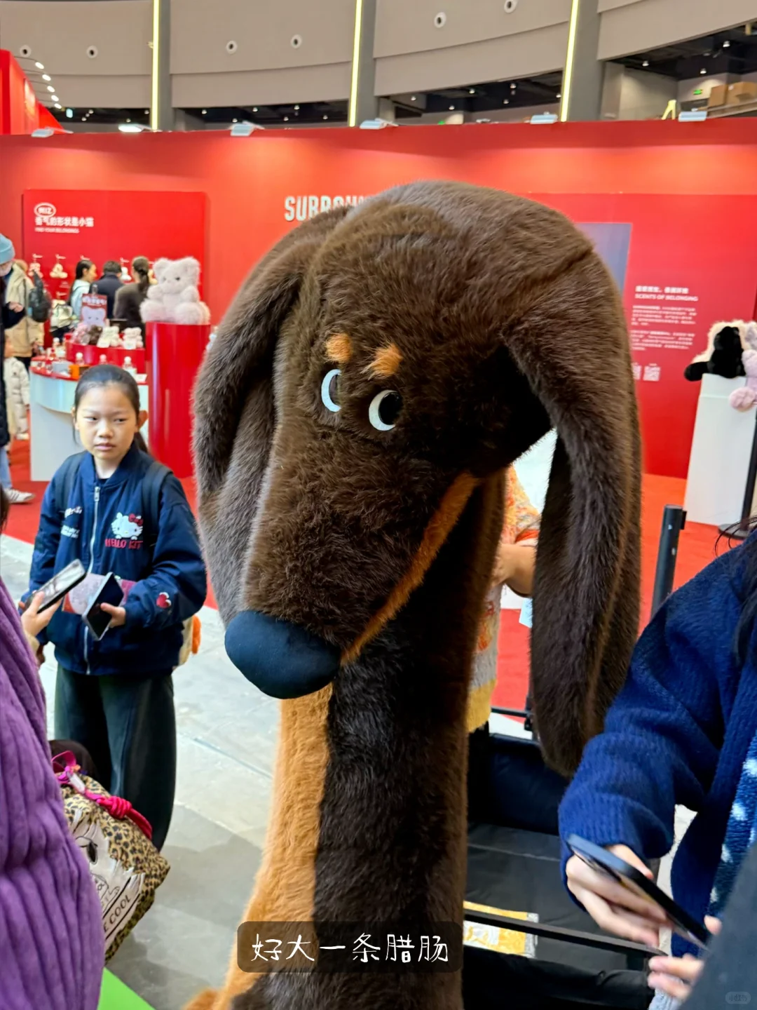 进入巨大的毛绒世界!上海最火毛绒展来啦