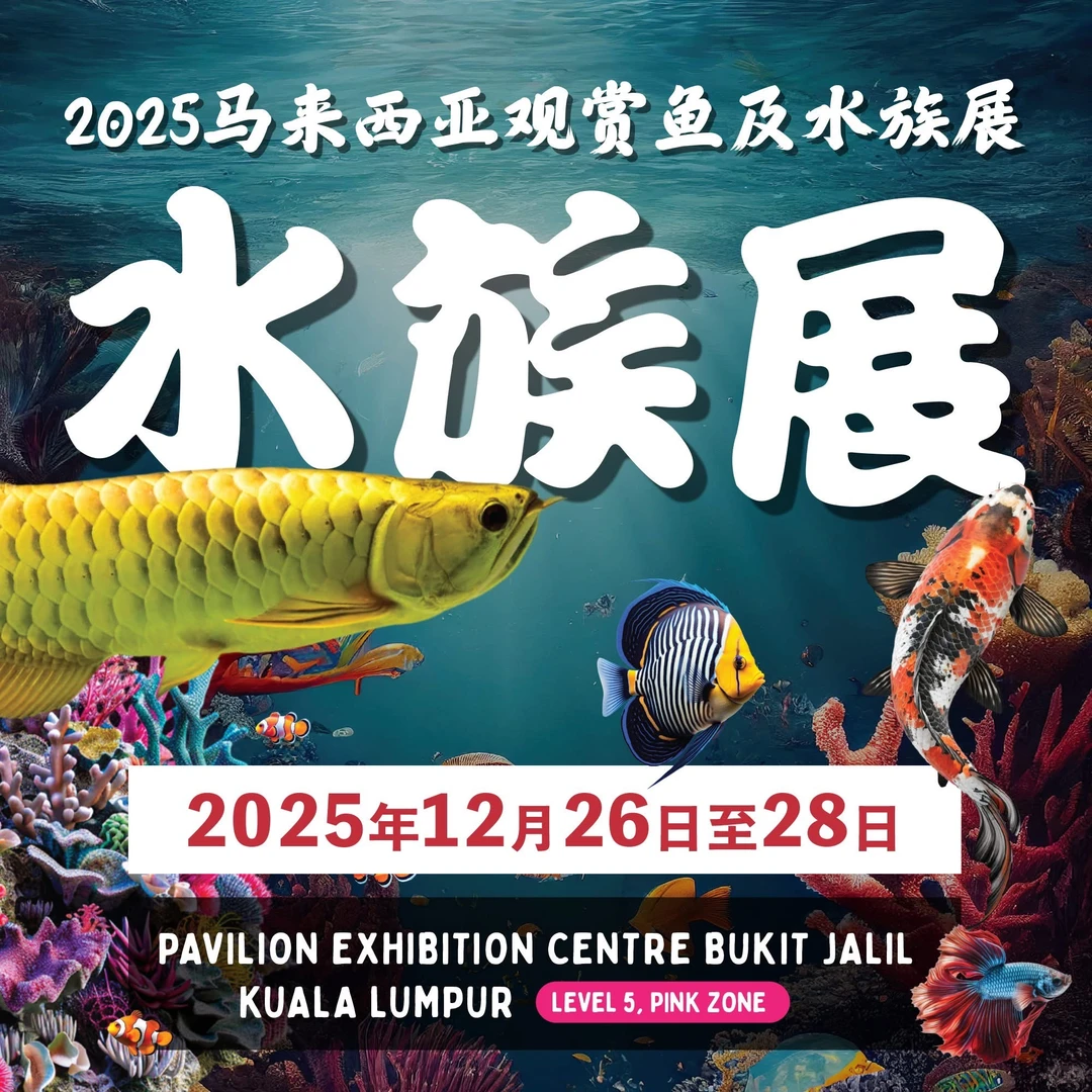 ?? 2025超大型水族展