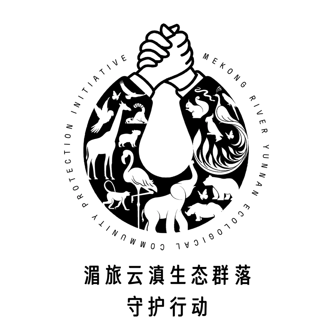 海南国际旅交会我来了✌️