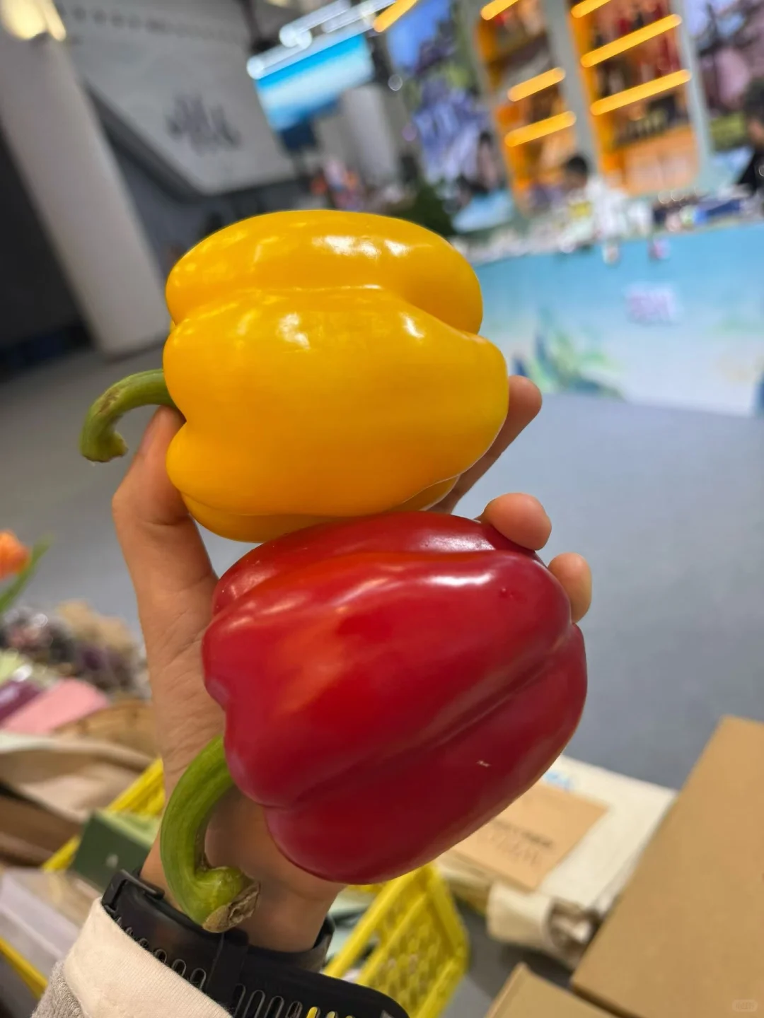 海南国际旅游交易会