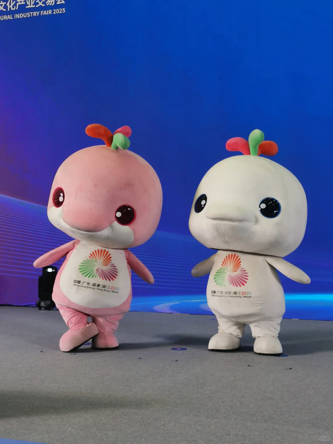 大湾鸡在文交会的第一天photos