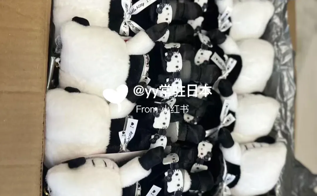 kitty展会泰迪 雪兔 国现‼️